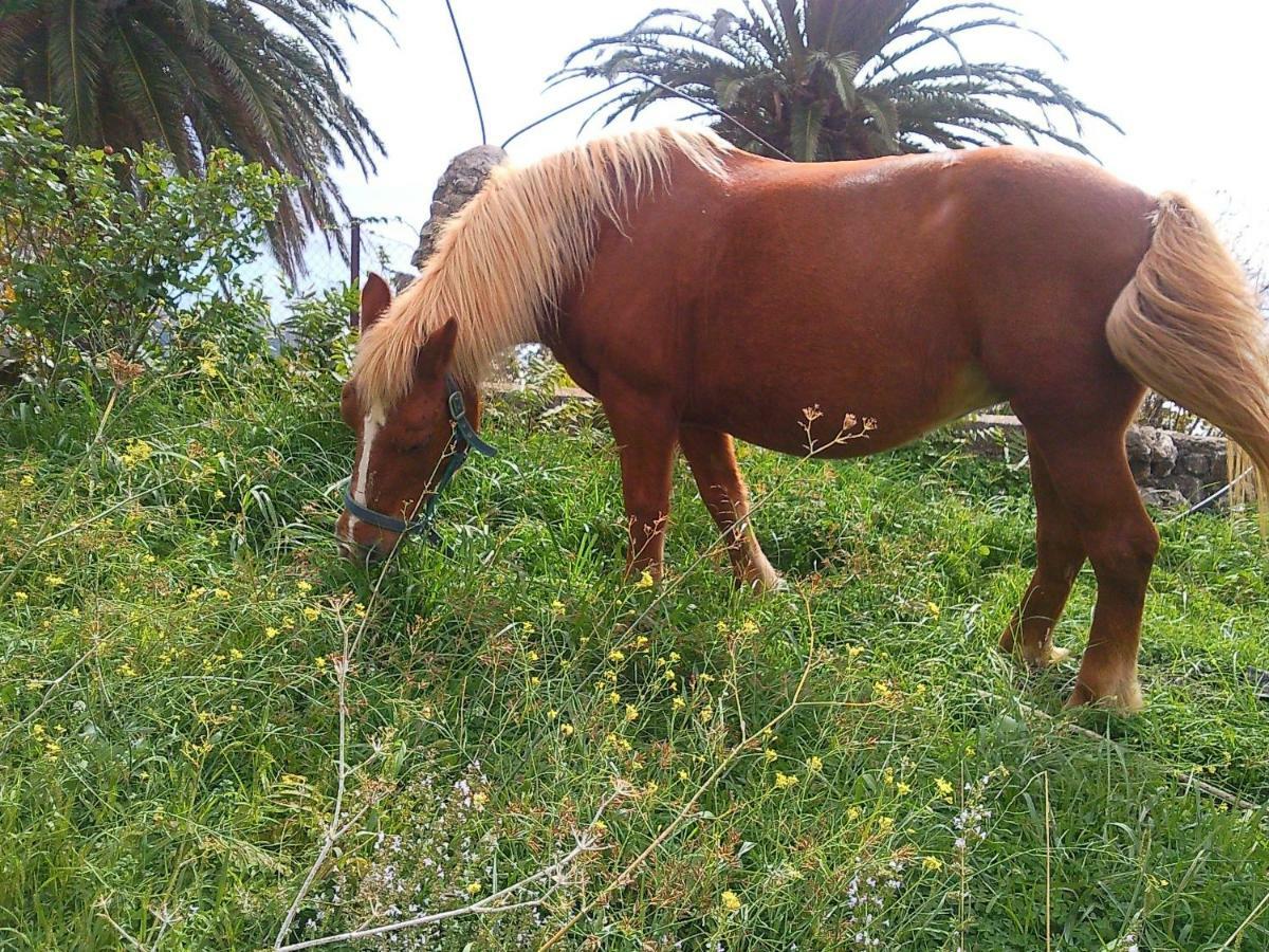 צ'טרארו Azienda Agrituristica Le Terre Di San Leonardo מראה חיצוני תמונה
