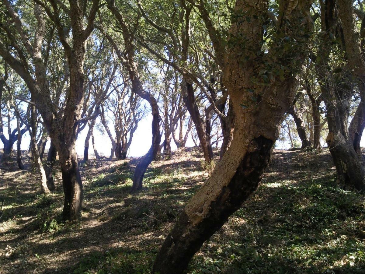 צ'טרארו Azienda Agrituristica Le Terre Di San Leonardo מראה חיצוני תמונה