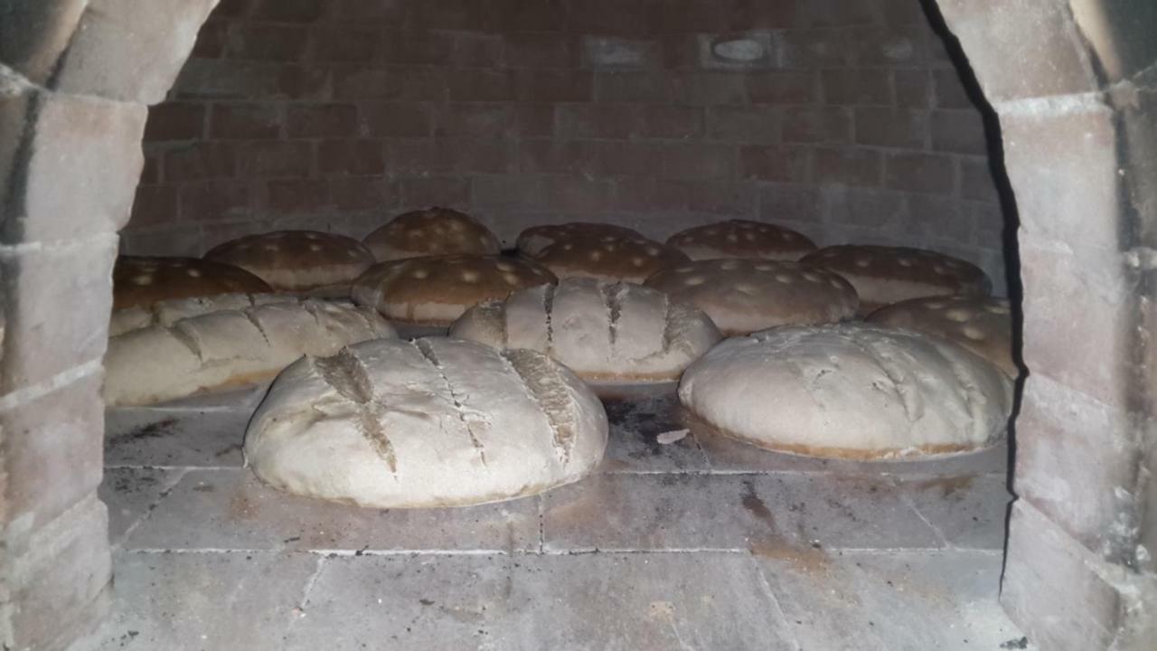 צ'טרארו Azienda Agrituristica Le Terre Di San Leonardo מראה חיצוני תמונה